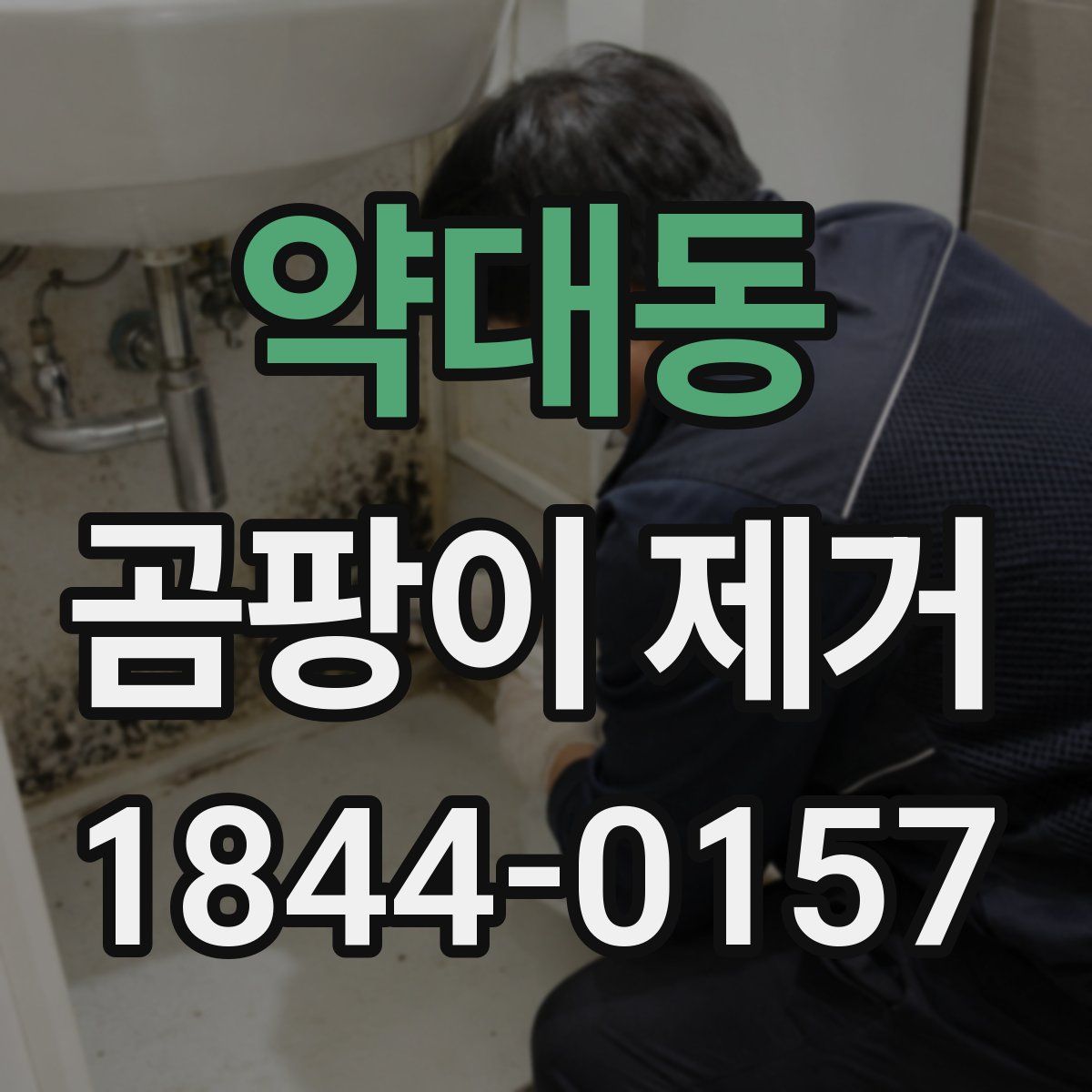 약대동 곰팡이 제거