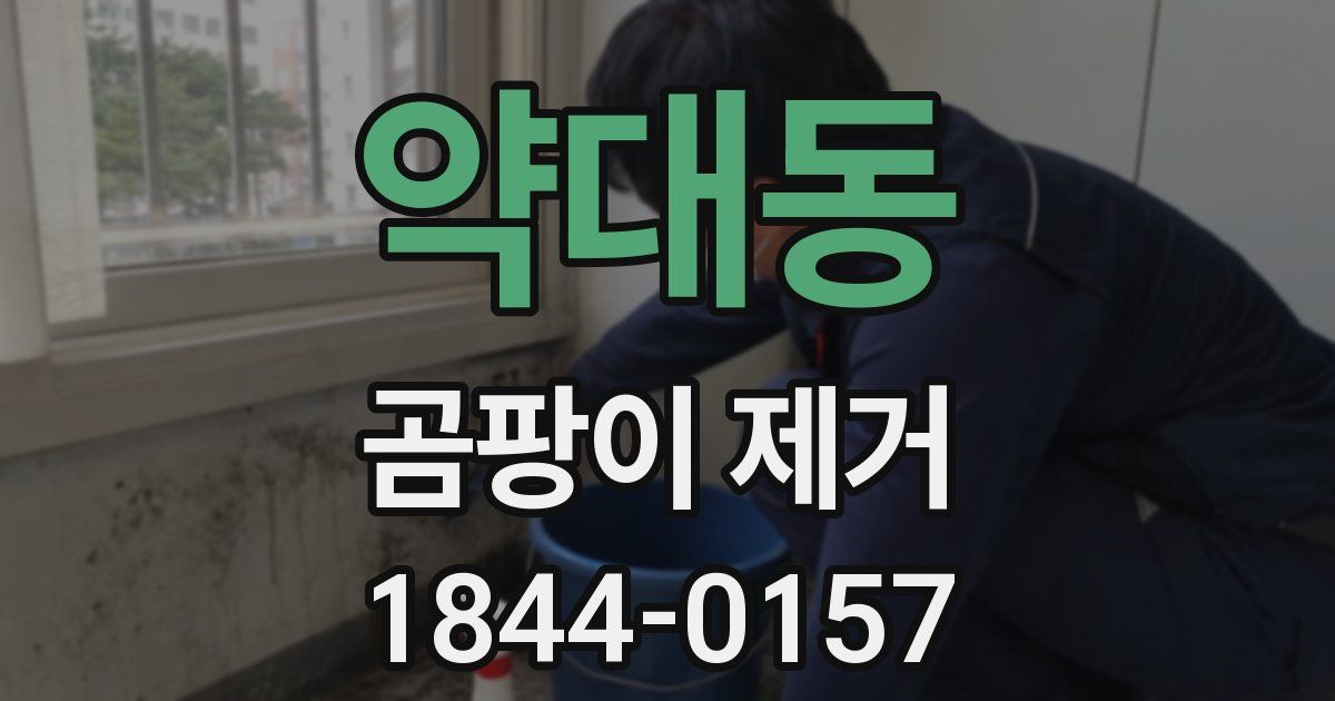 약대동 곰팡이 제거