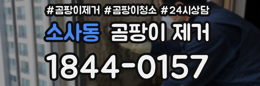 소사동 곰팡이 제거