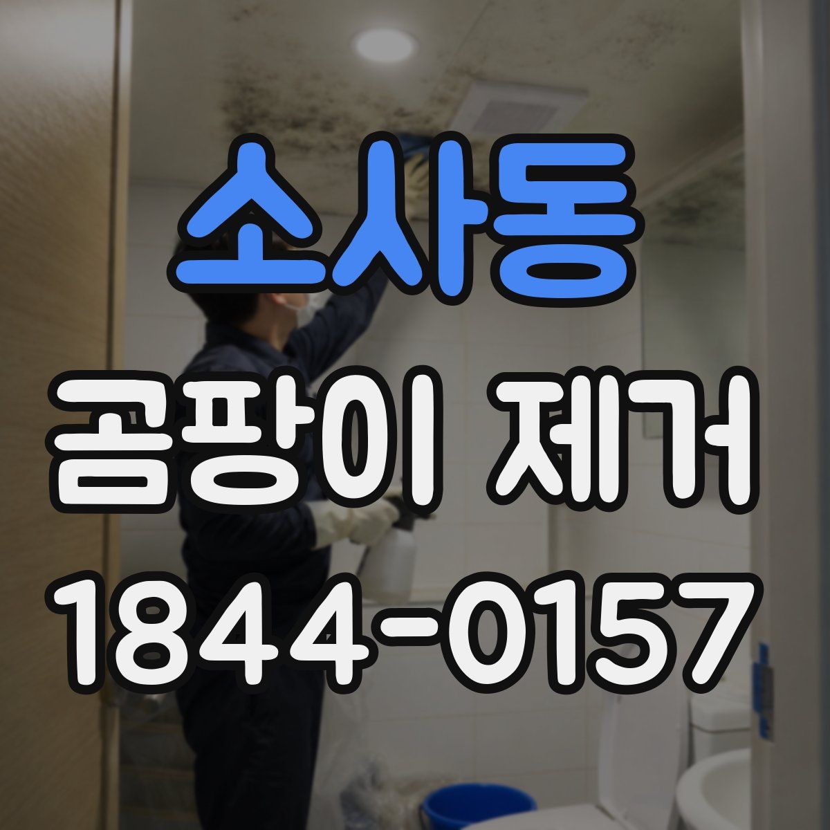 소사동 곰팡이 제거
