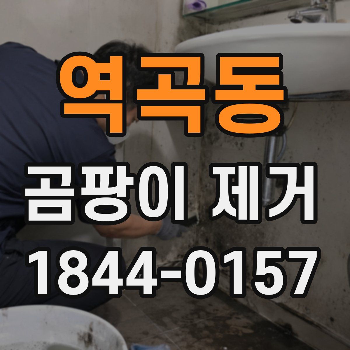 역곡동 곰팡이 제거