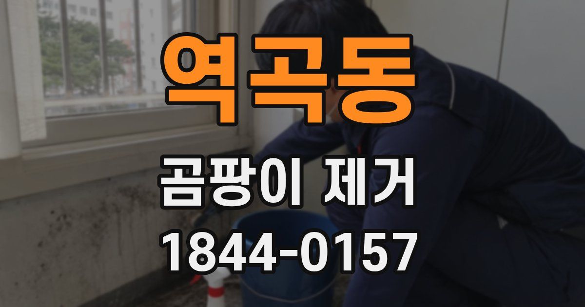 역곡동 곰팡이 제거