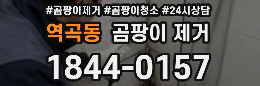 역곡동 곰팡이 제거
