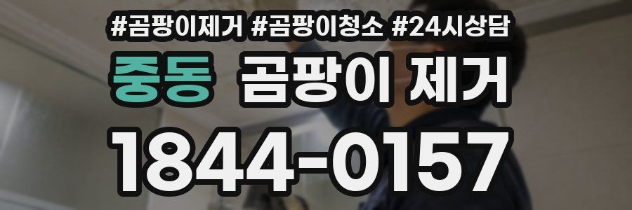 중동 곰팡이 제거