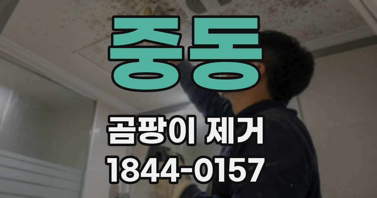 중동 곰팡이 제거