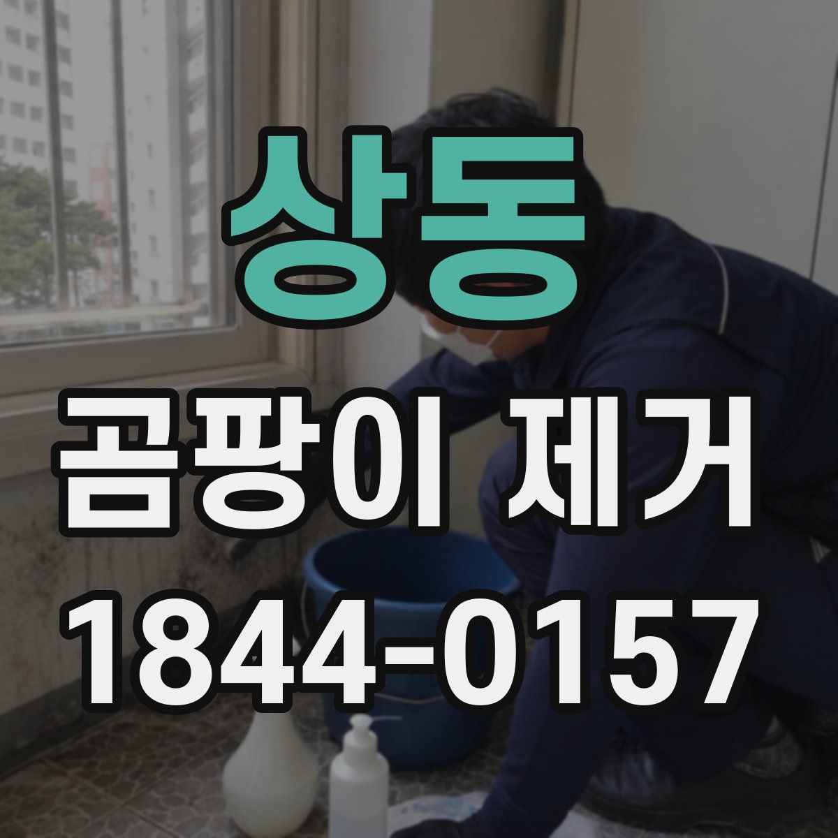 상동 곰팡이 제거