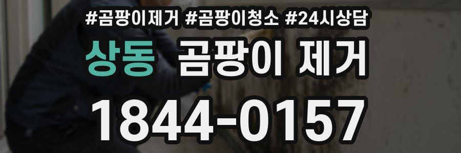 상동 곰팡이 제거