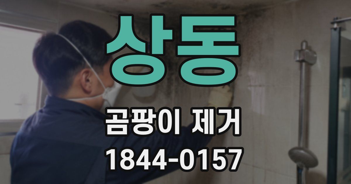 상동 곰팡이 제거