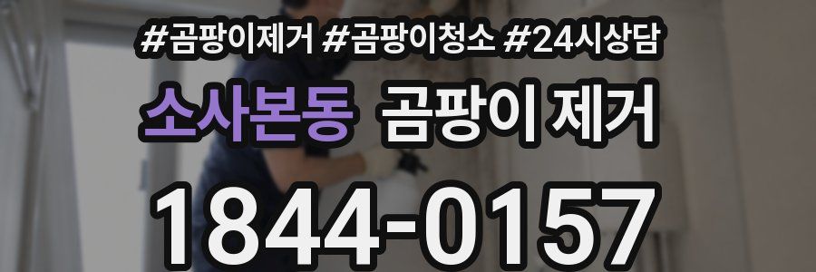 소사본동 곰팡이 제거
