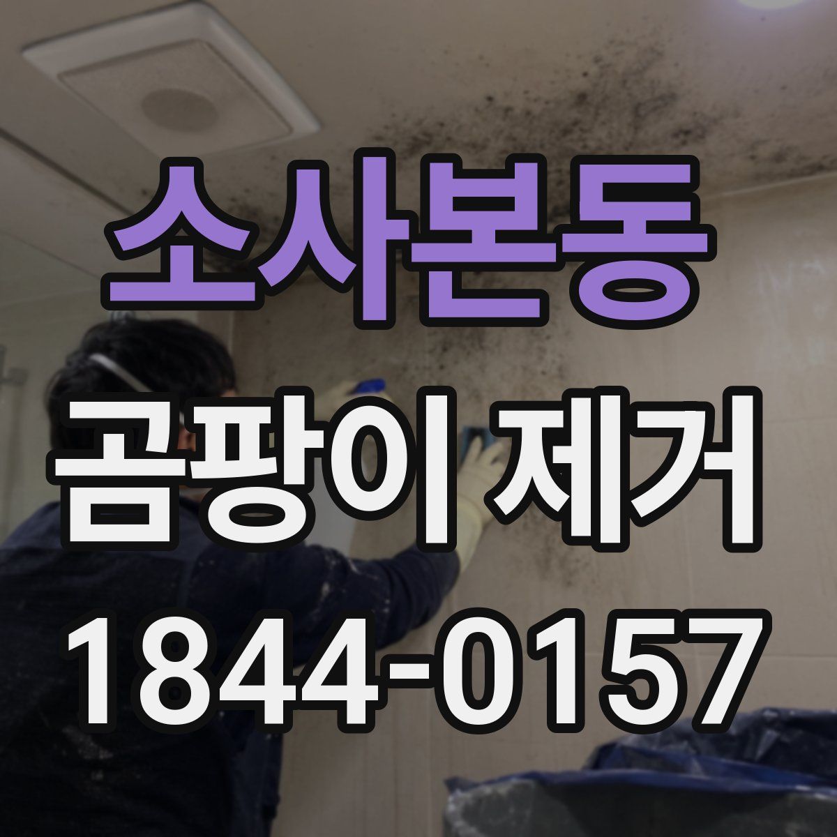 소사본동 곰팡이 제거