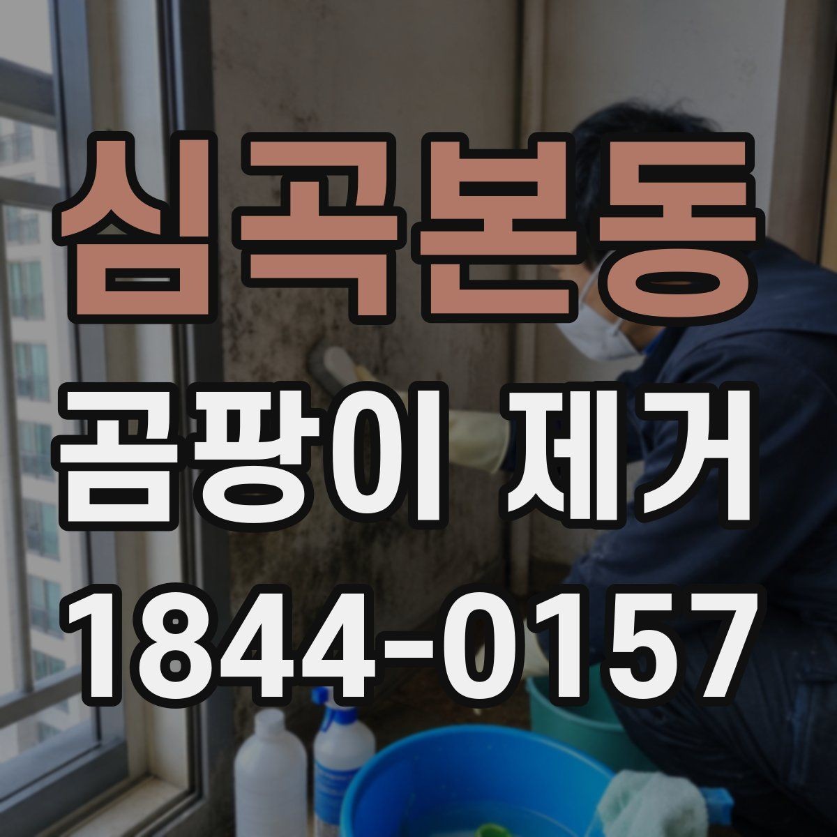 심곡본동 곰팡이 제거 계절이 바뀔 때 챙길 관리 항목