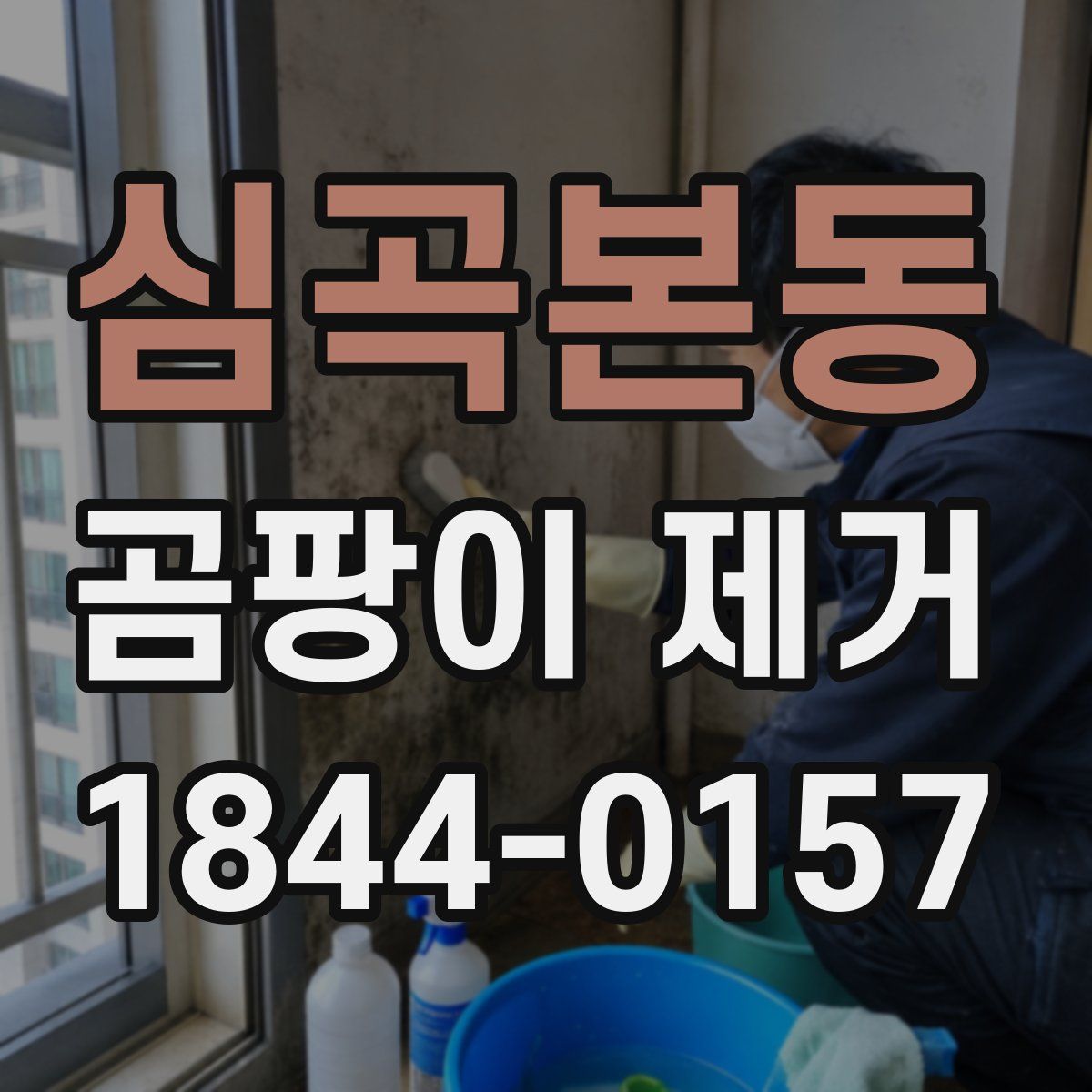 심곡본동 곰팡이 제거