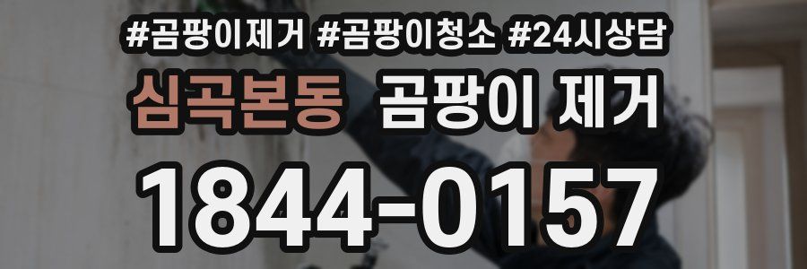 심곡본동 곰팡이 제거