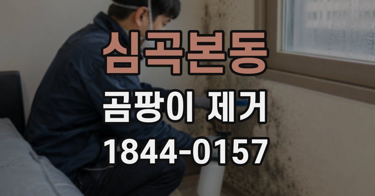 심곡본동 곰팡이 제거