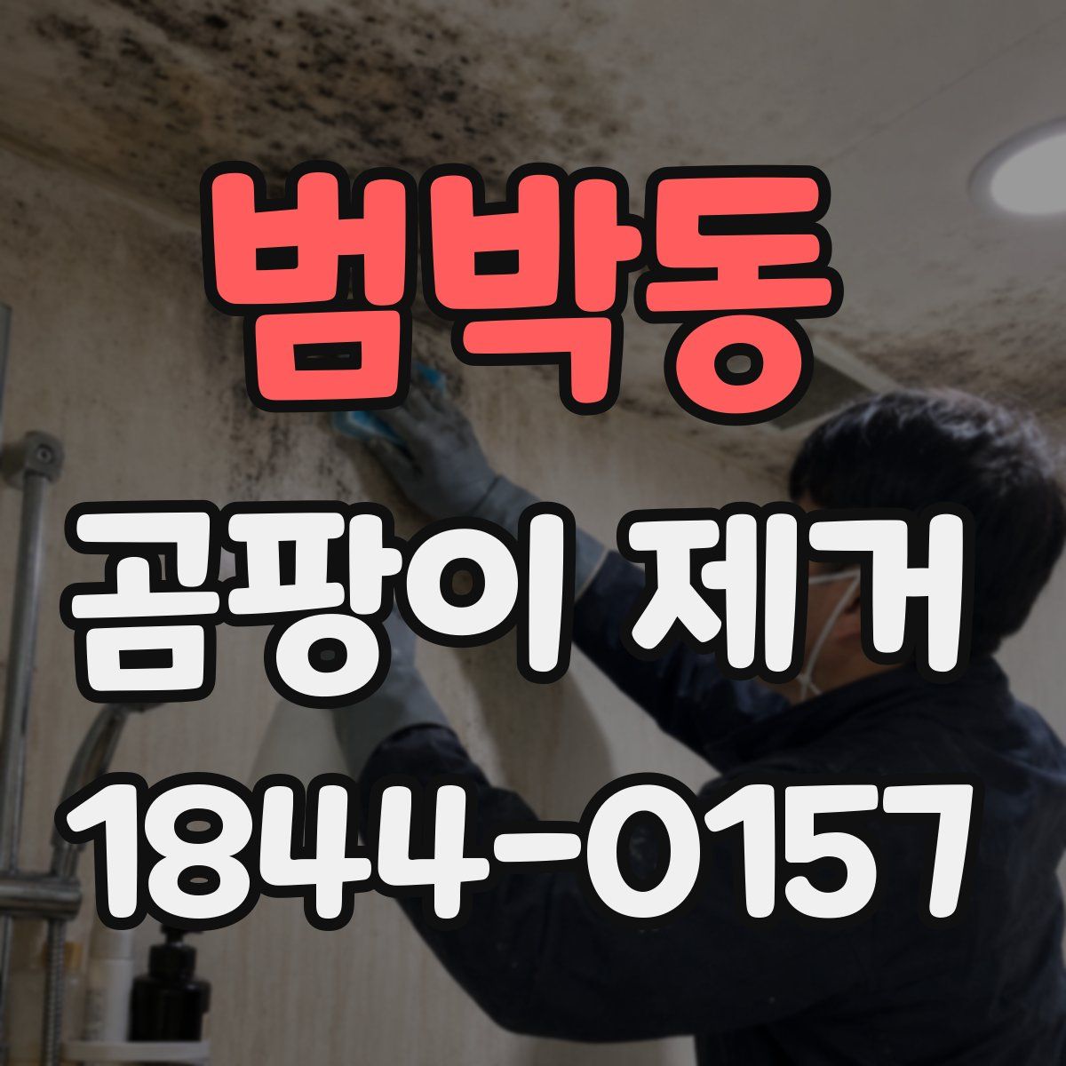 범박동 곰팡이 제거