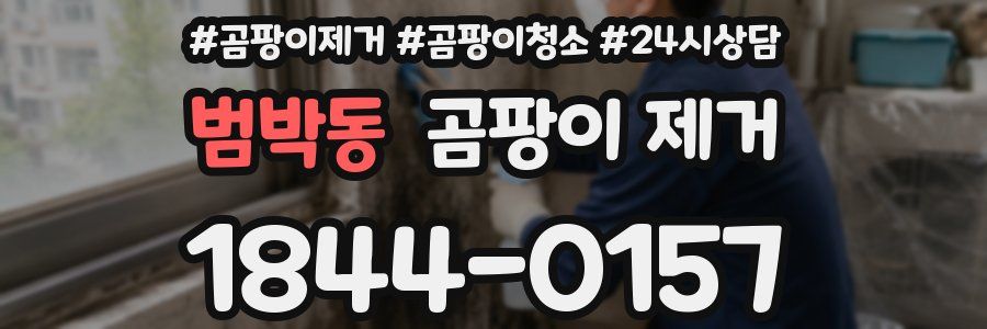 범박동 곰팡이 제거