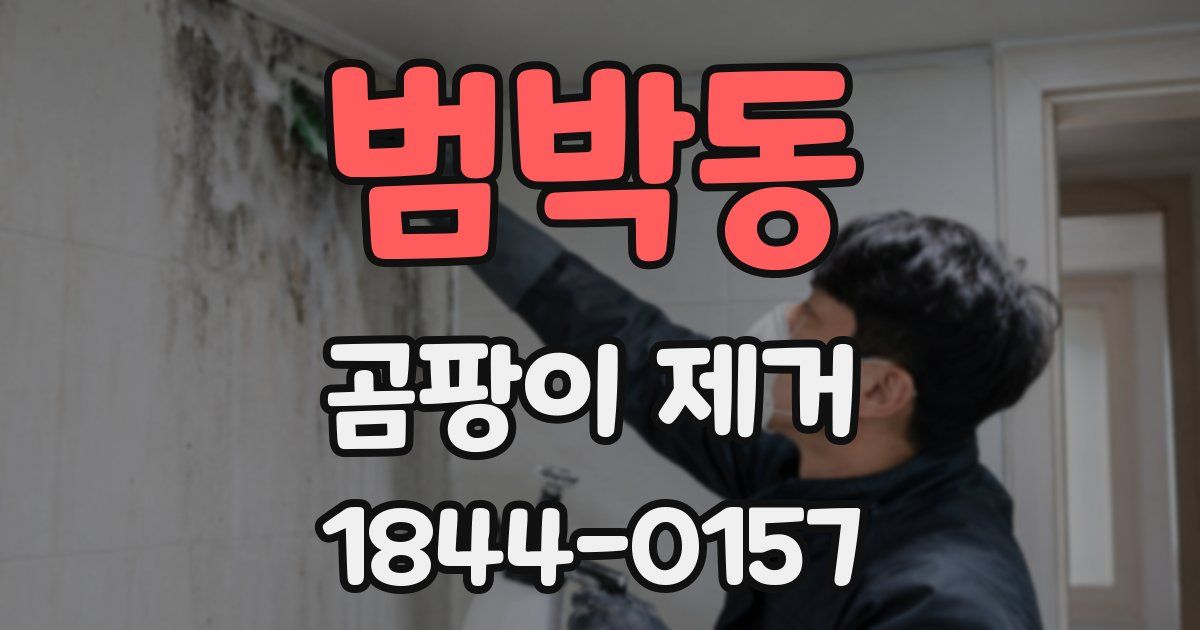 범박동 곰팡이 제거