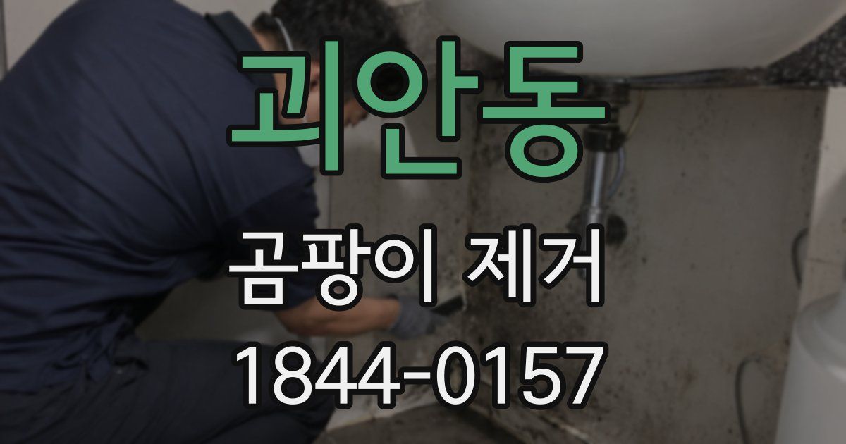 괴안동 곰팡이 제거