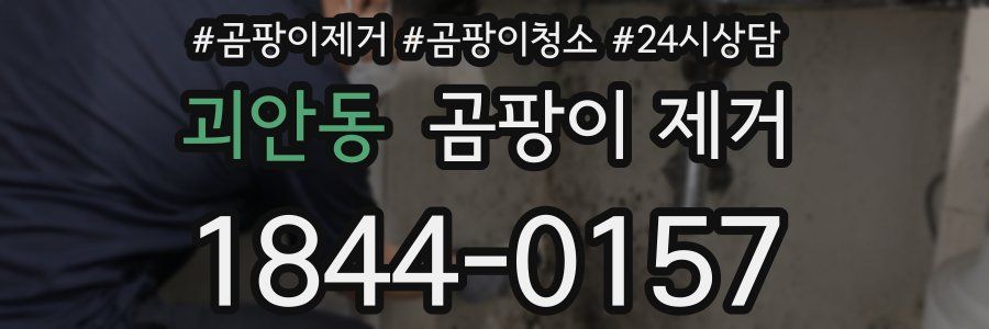 괴안동 곰팡이 제거