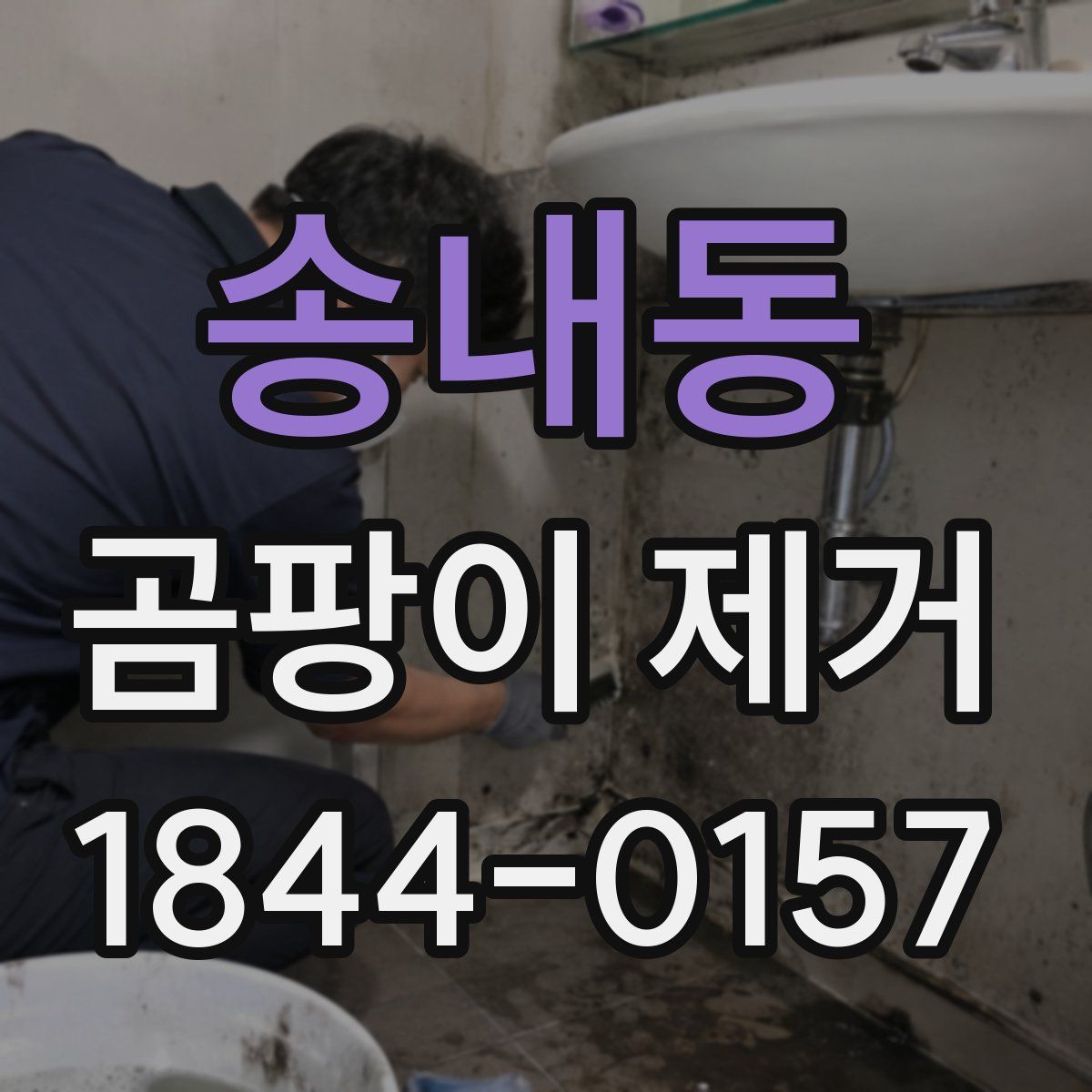 송내동 곰팡이 제거