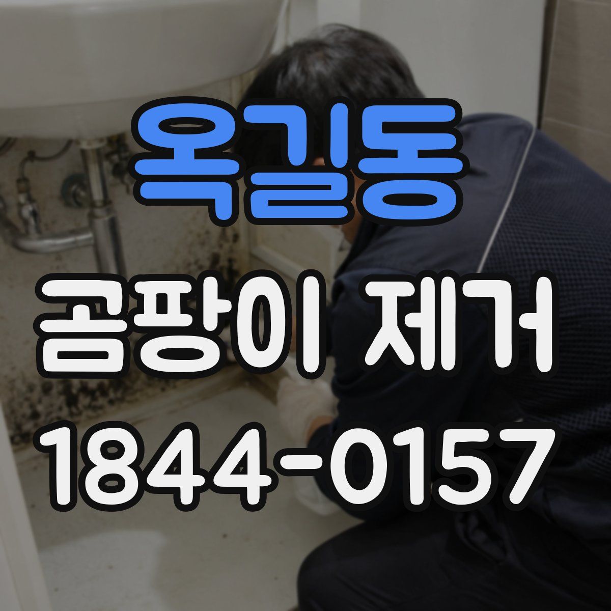 옥길동 곰팡이 제거