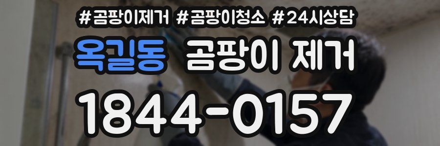 옥길동 곰팡이 제거