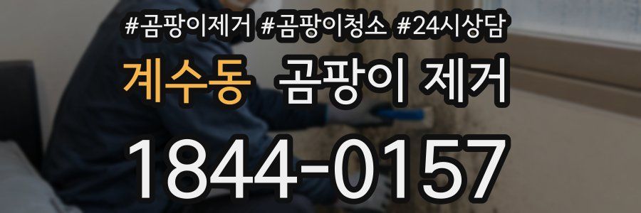 계수동 곰팡이 제거