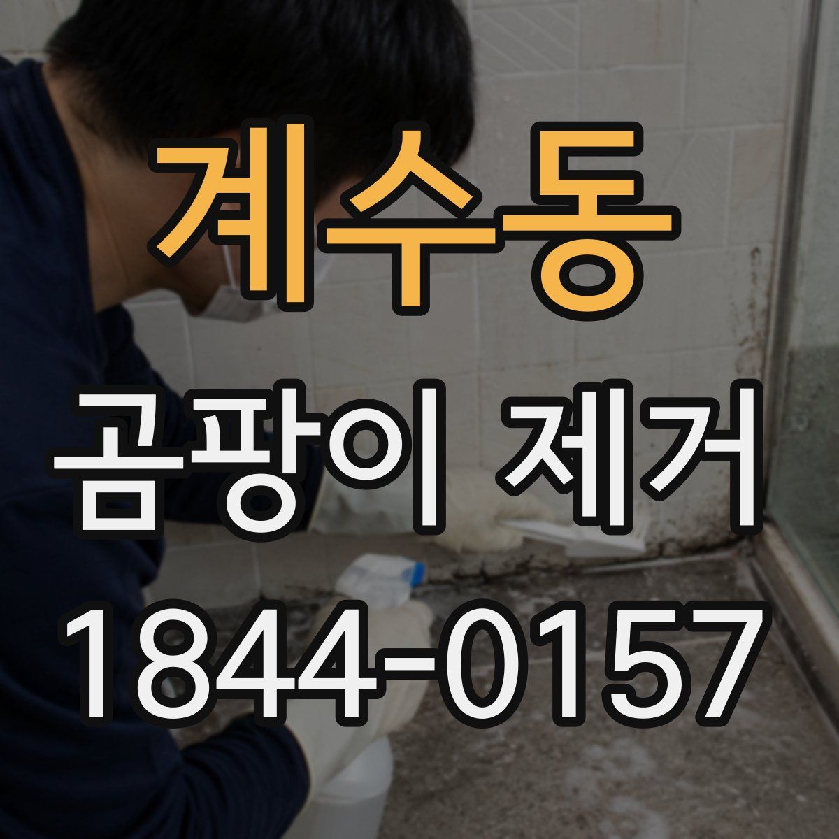 계수동 곰팡이 제거