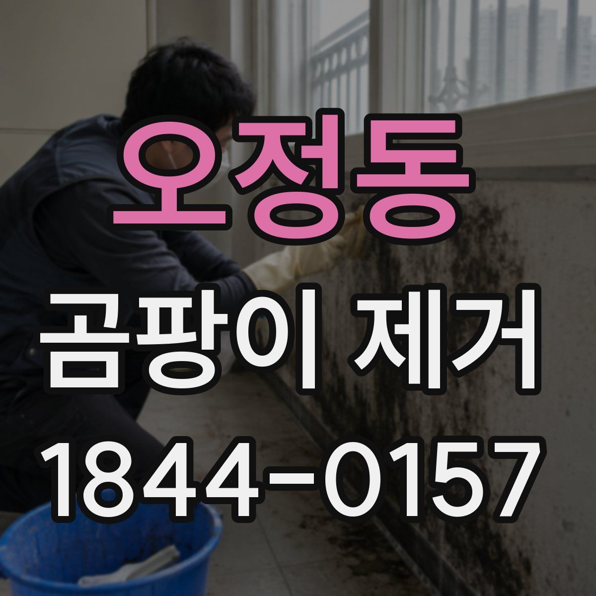 오정동 곰팡이 제거