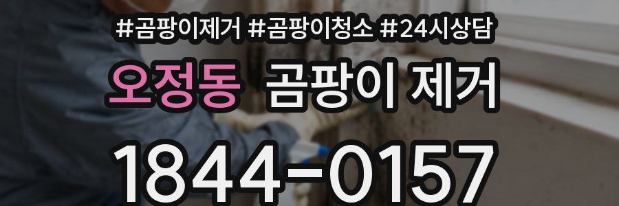 오정동 곰팡이 제거