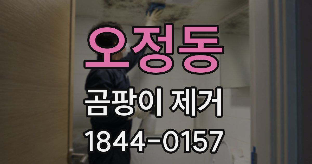 오정동 곰팡이 제거