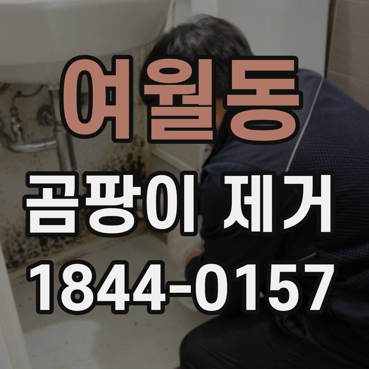 여월동 곰팡이 제거