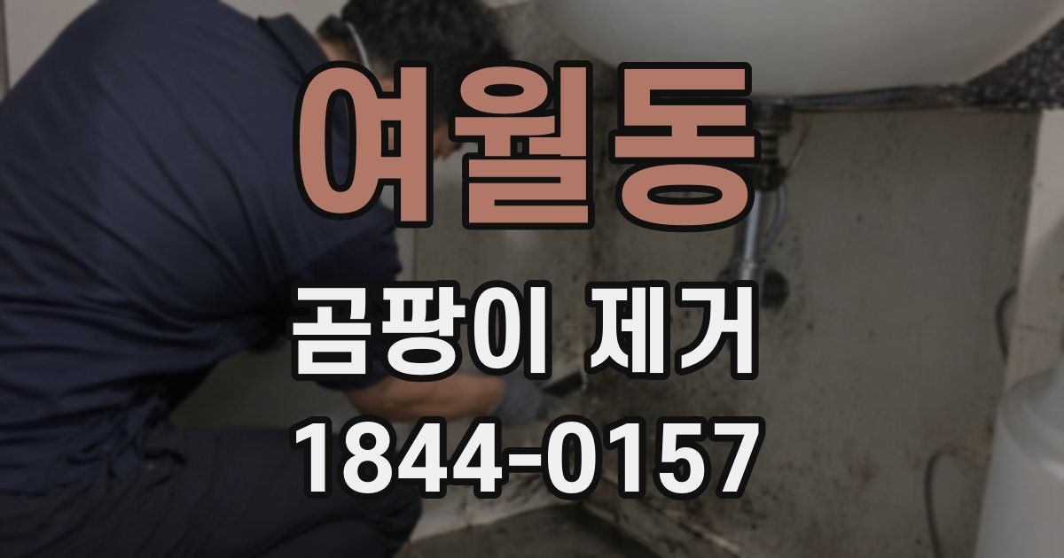 여월동 곰팡이 제거