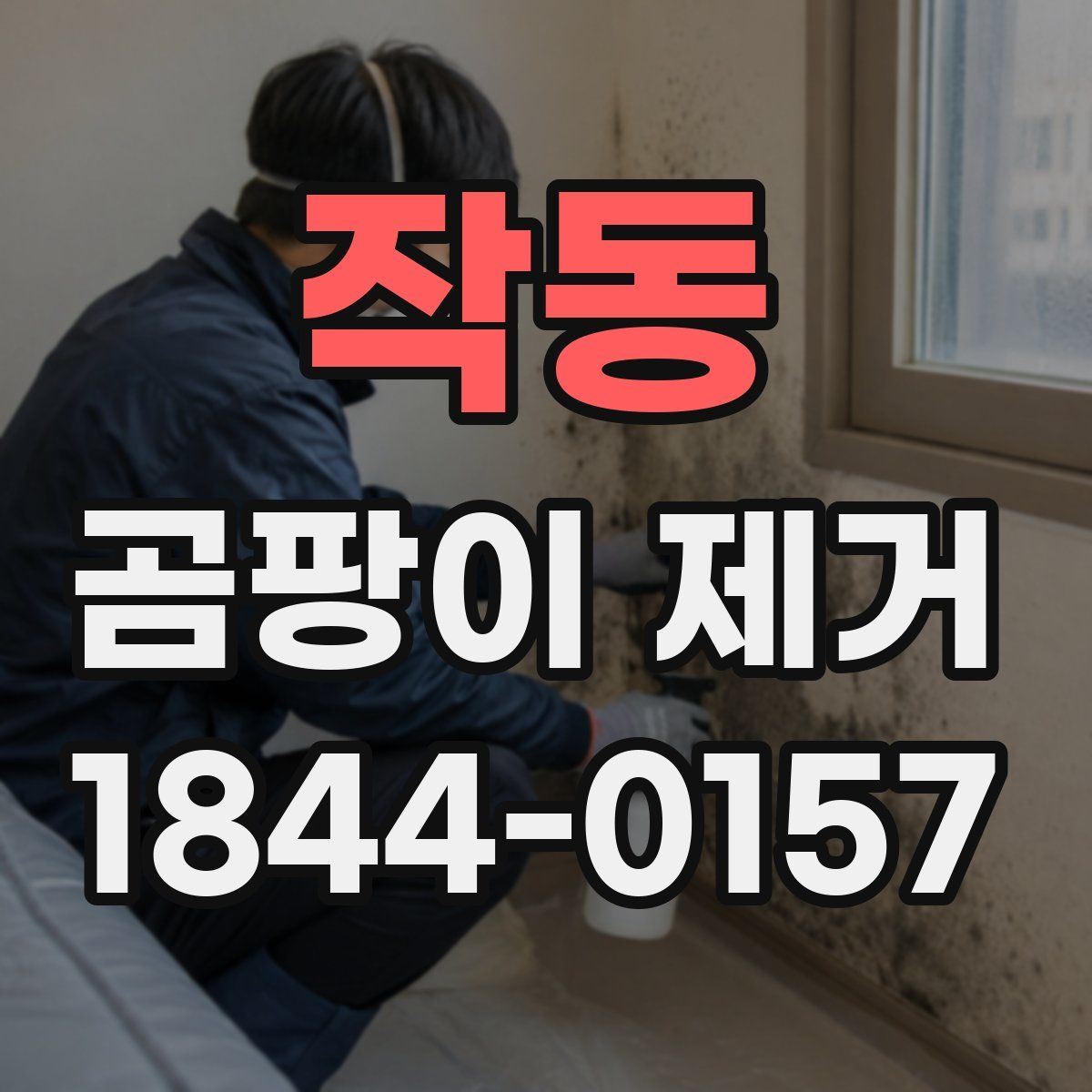 작동 곰팡이 제거