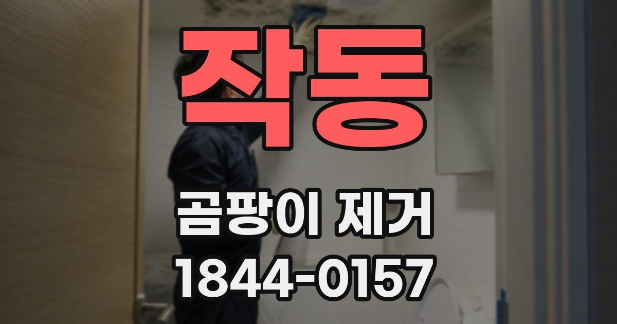 작동 곰팡이 제거