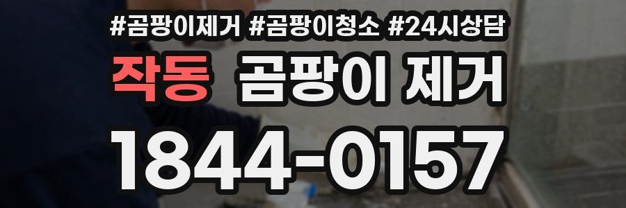 작동 곰팡이 제거