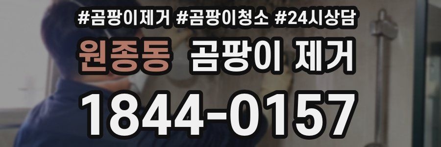 원종동 곰팡이 제거