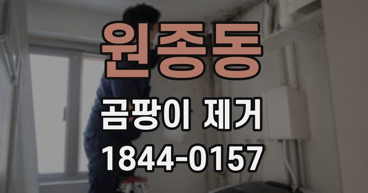 원종동 곰팡이 제거