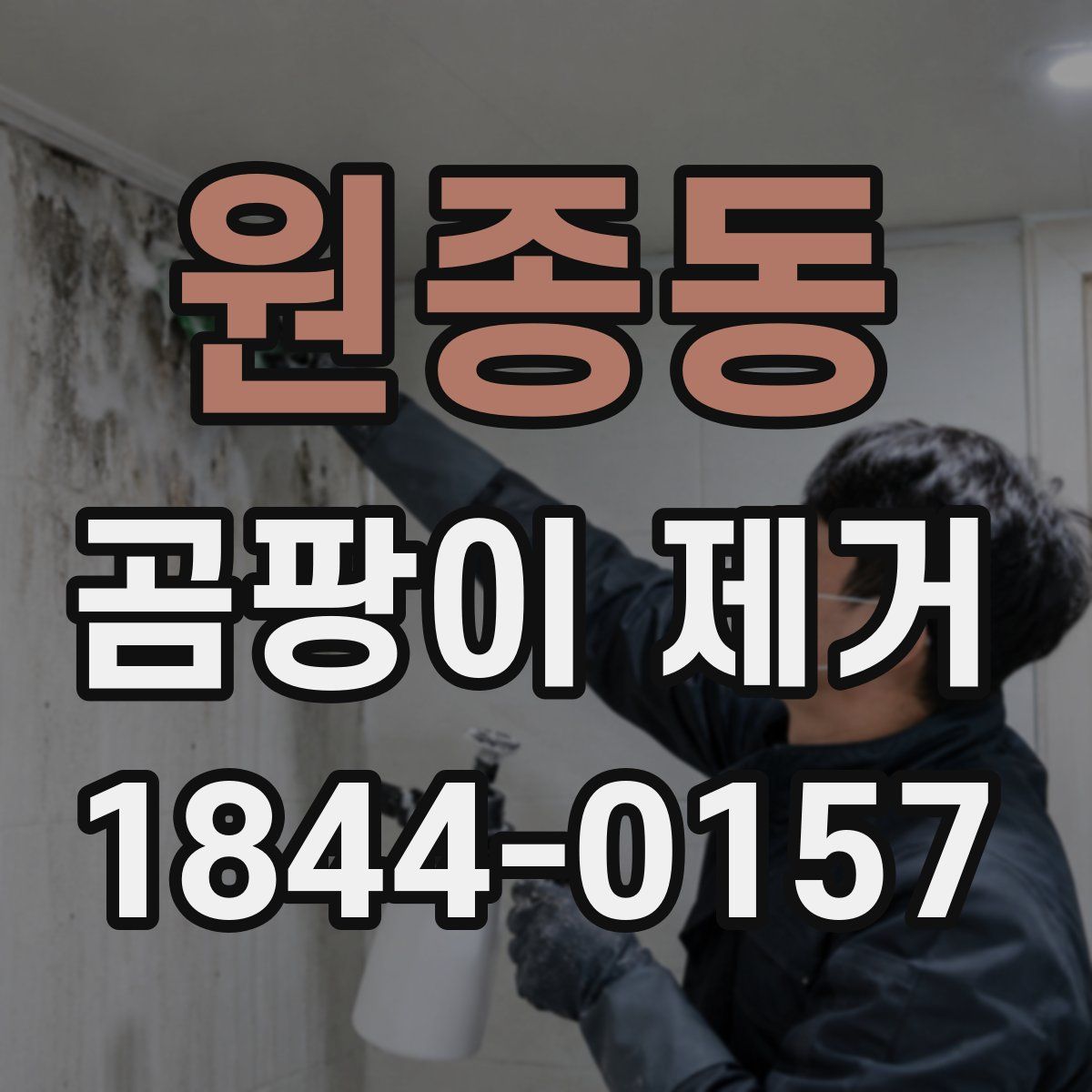 원종동 곰팡이 제거