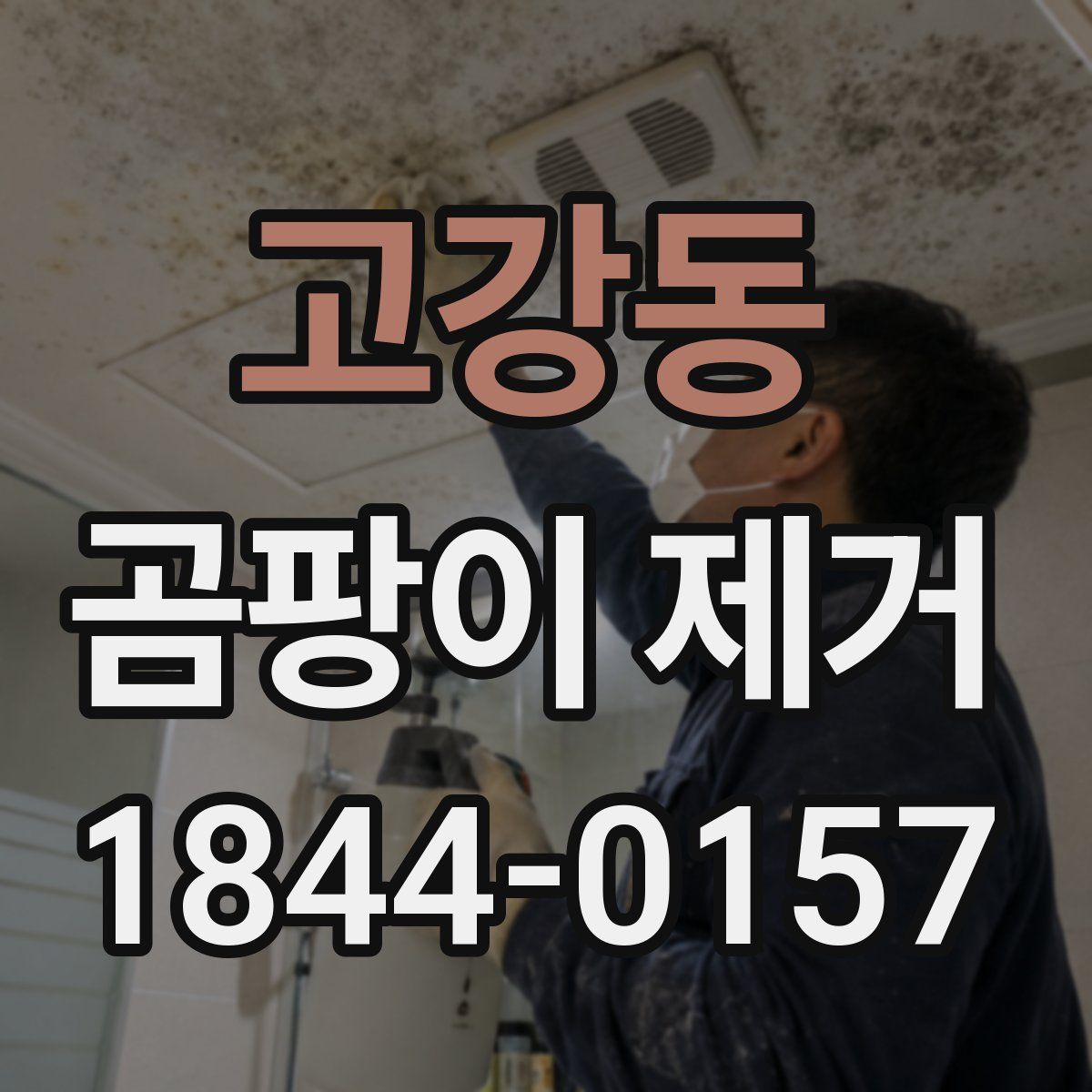 고강동 곰팡이 제거