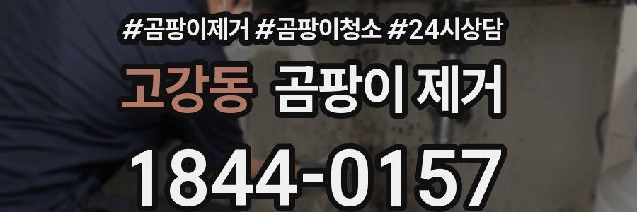 고강동 곰팡이 제거