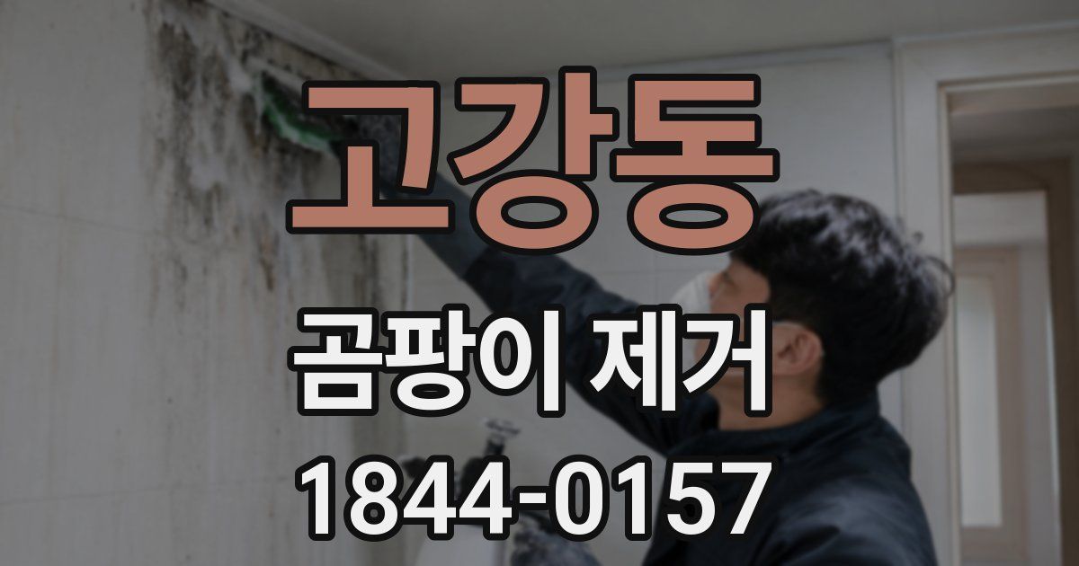 고강동 곰팡이 제거