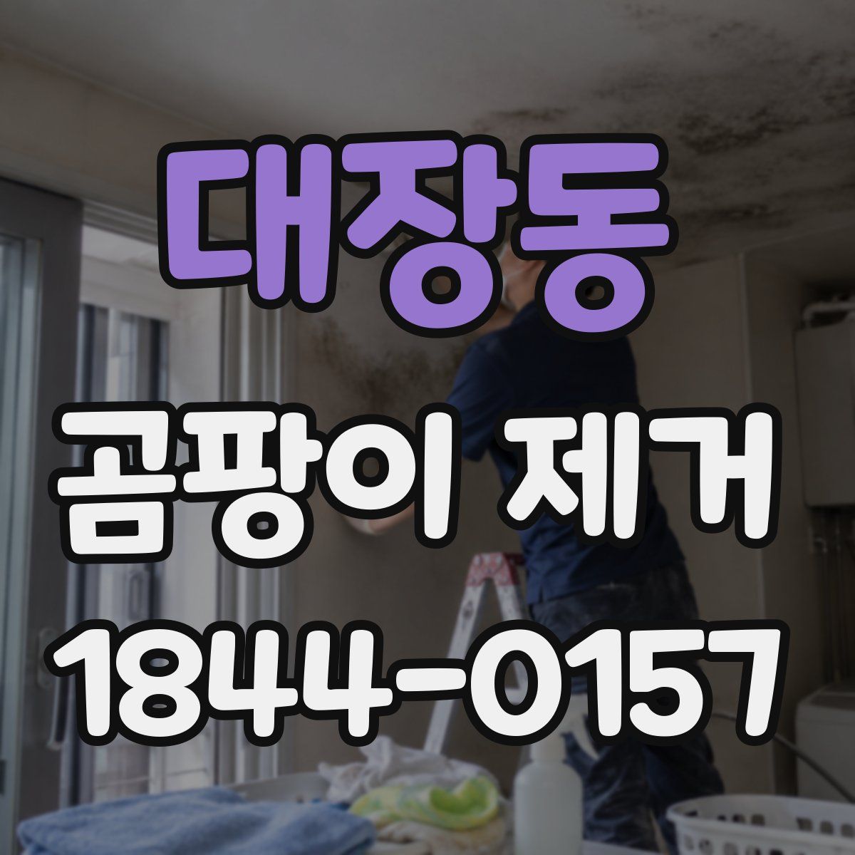 대장동 곰팡이 제거