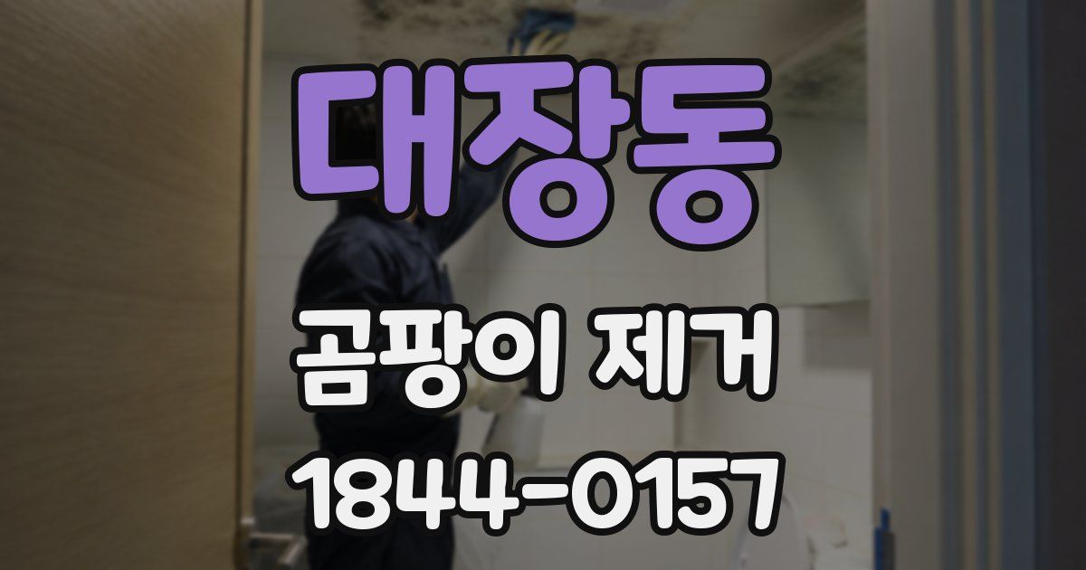대장동 곰팡이 제거