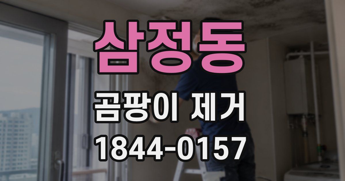 삼정동 곰팡이 제거