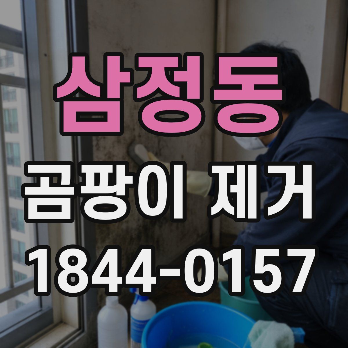 삼정동 곰팡이 제거