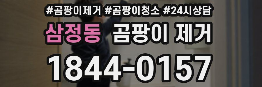 삼정동 곰팡이 제거