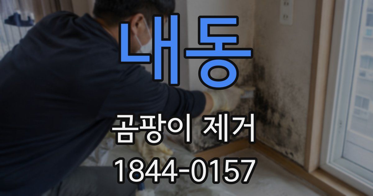 내동 곰팡이 제거