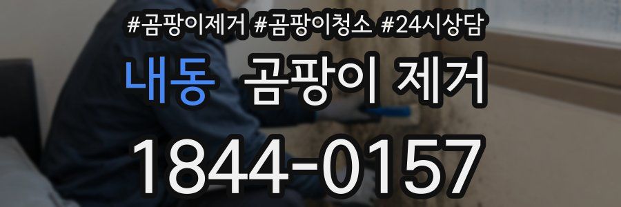 내동 곰팡이 제거