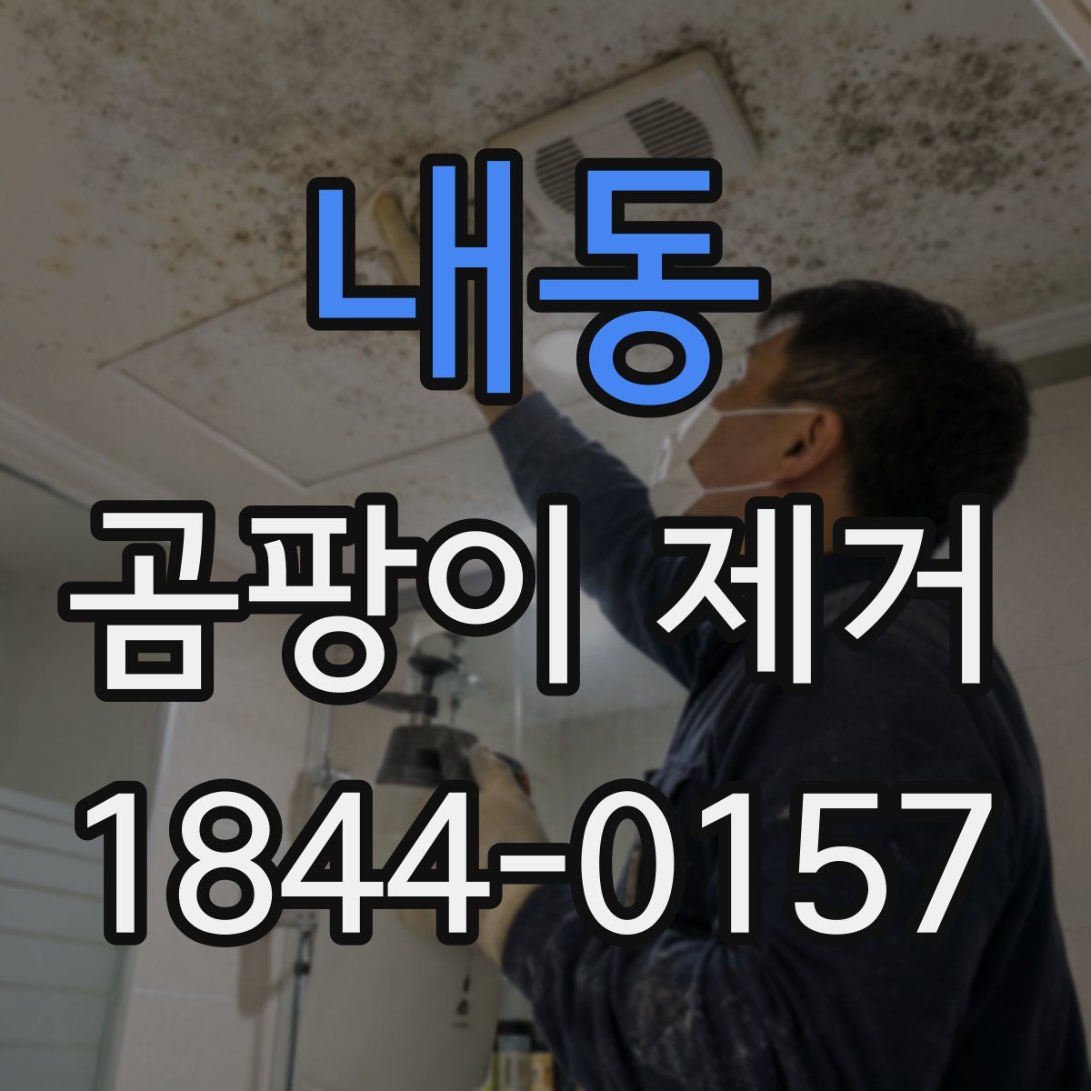 내동 곰팡이 제거